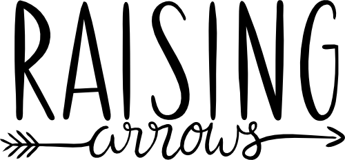(162-03-1E) Raising Arrows Iron-On Transfer