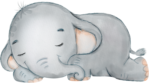 (s167-A2)  Baby Elephant