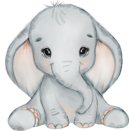 (s167-B2)  Baby Elephant