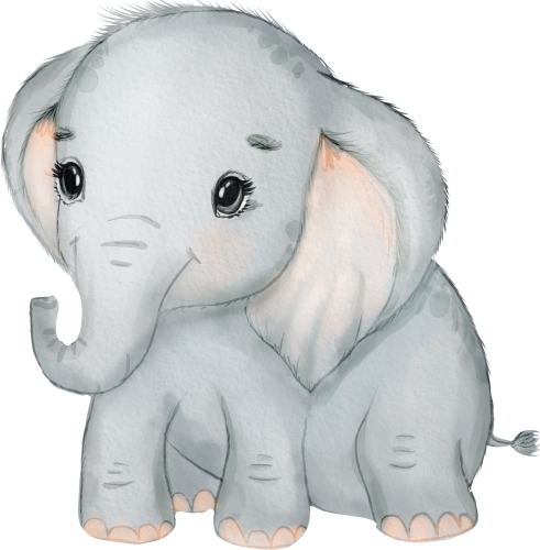 (s167-C2)  Baby Elephant