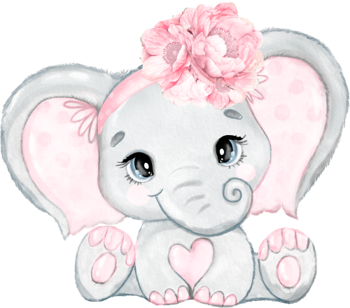 (s167-H2) Elephant Pink Flowers