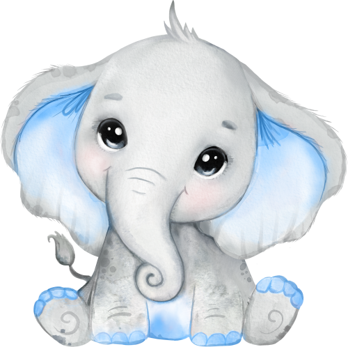 (s167-X)  Baby Boy Elephant