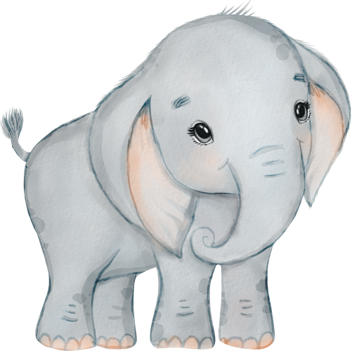 (s167-Z) Baby Elephant
