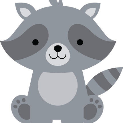 (s169-01-1J) Racoon