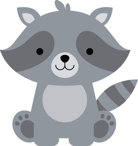 (s169-01-1J) Racoon