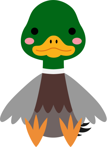 (s169-10-1E) Duck