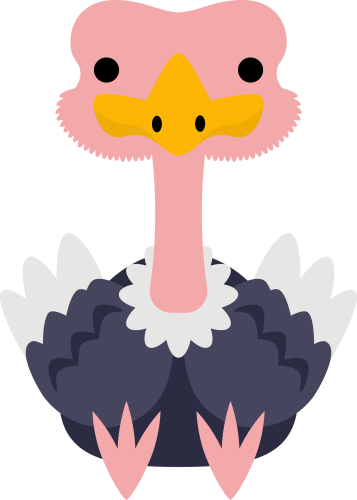 (s169-10-1J) Ostrich
