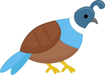 (s169-10-1U) Quail