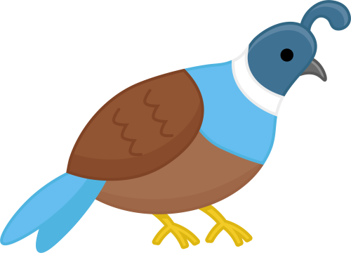 (s169-10-1U) Quail