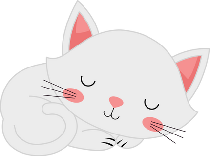 (s169-11-1D) White Cat Sleeping