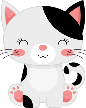 (s169-11-1Q) Black & White Cat