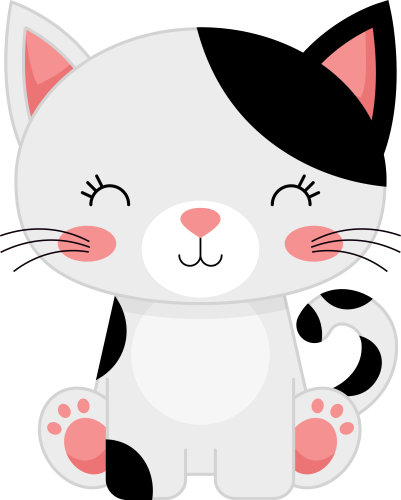 (s169-11-1Q) Black & White Cat