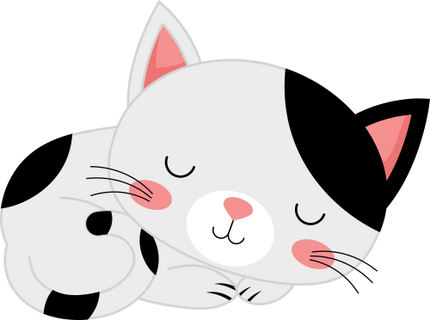 (s169-11-1T) Black & White Cat Sleeping