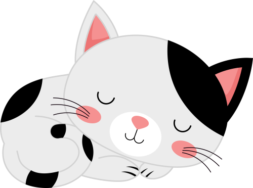 (s169-11-1T) Black & White Cat Sleeping