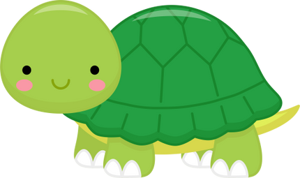 (s169-02-1E)  Turtle