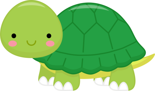 (s169-02-1E)  Turtle