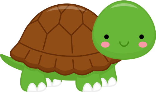 (s169-02-1F) Turtle