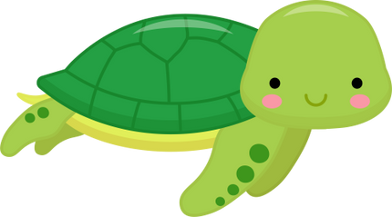 (s169-02-1G) Turtle