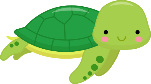 (s169-02-1G) Turtle