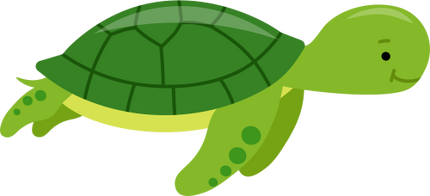 (s169-02-1H) Turtle