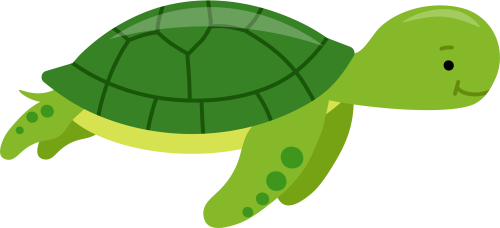 (s169-02-1H) Turtle