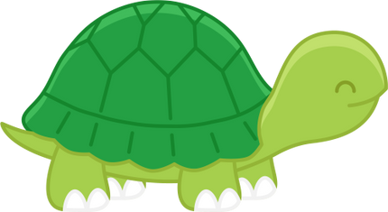 (s169-02-1K) Turtle