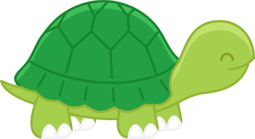 (s169-02-1K) Turtle
