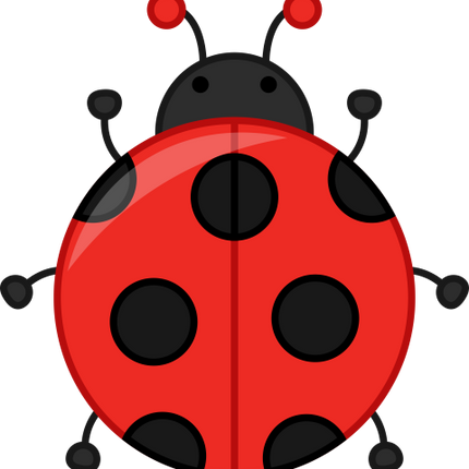 (s169-03-1F) Ladybug