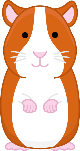 (s169-04-1A) Guinea Pig