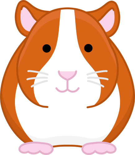 (s169-04-1B) Guinea Pig