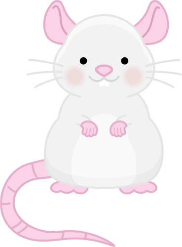 (s169-04-1G) Mouse