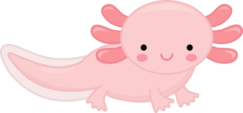 (s169-04-1K)  Axolotl