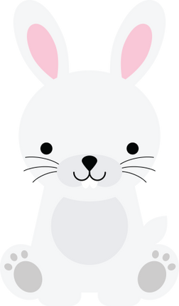 (s169-06-1K) White Bunny Rabbit
