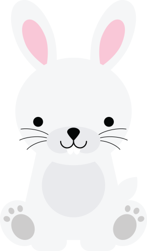 (s169-06-1K) White Bunny Rabbit