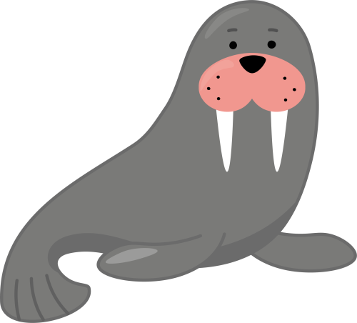 (169-06-1R) Walrus