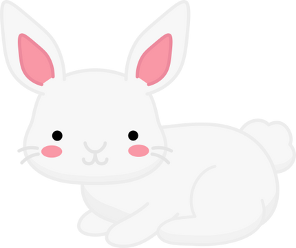 (s169-07-1N) White Bunny Rabbit
