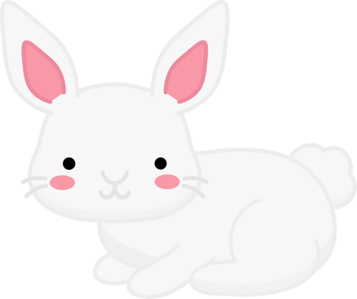 (s169-07-1N) White Bunny Rabbit