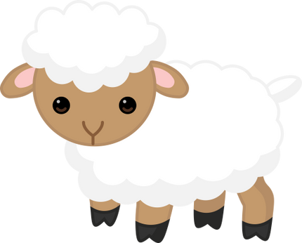 (s169-07-1Q) Sheep