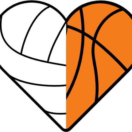 (s177-4-2J) Black White Split Heart Ball Volleyball Basketball