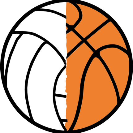 (s177-4-1Q) Black White Split Ball Volleyball Basketball