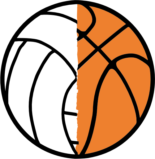 (s177-4-1Q) Black White Split Ball Volleyball Basketball
