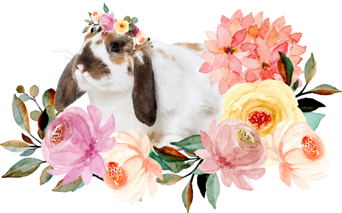 (s018-2-F) Bunny Rabbit Flowers