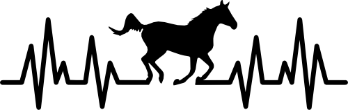 (182-1B) EKG Heartbeat Horse