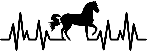 (182-1C) EKG Heartbeat Horse