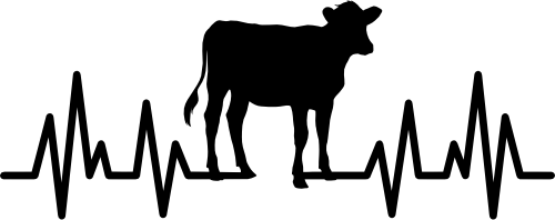 (182-1F) EKG Heartbeat Cow