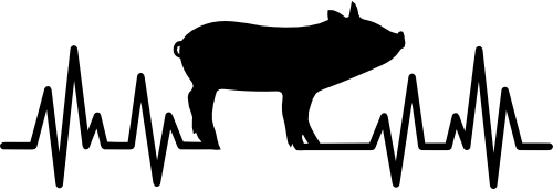 (182-1H) EKG Heartbeat Pig