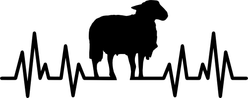 (182-1I) EKG Heartbeat Sheep