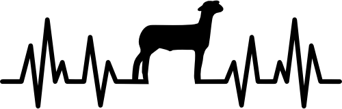 (182-1J) EKG Heartbeat Lamb