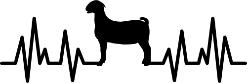 (182-1K) EKG Heartbeat Goat