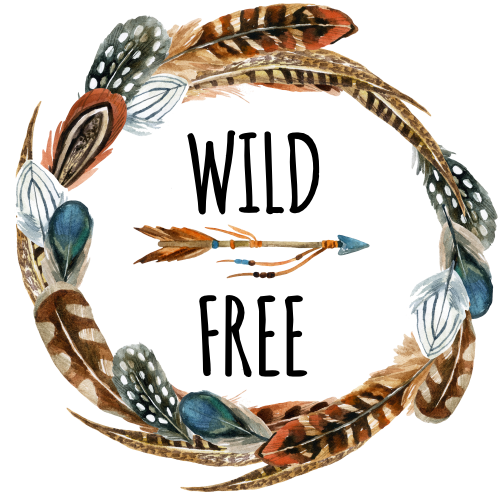 (s183-A) Wild Free Tribe Feather Tribal Watercolor
